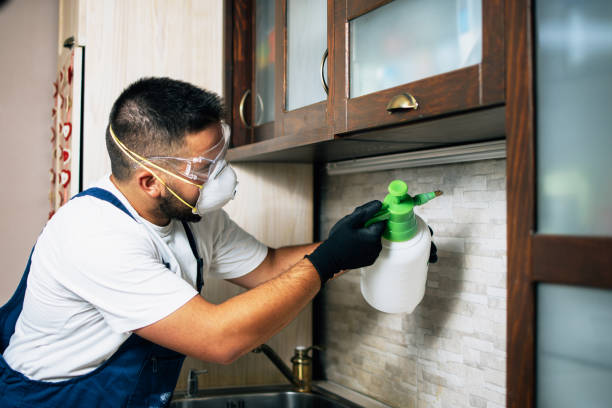 Best Wildlife Control Services  in Salamanca, NY