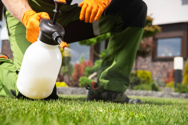 Best Best Pest Control Near Me  in Salamanca, NY