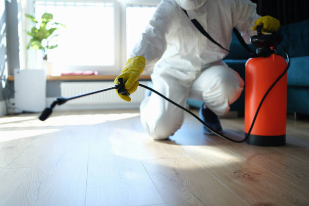 Best Pest Prevention Services  in Salamanca, NY