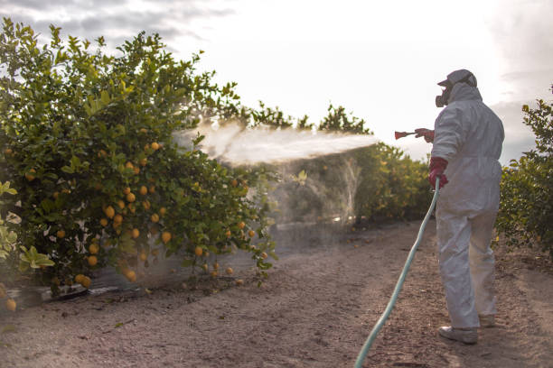 Best Cockroach Control Services  in Salamanca, NY