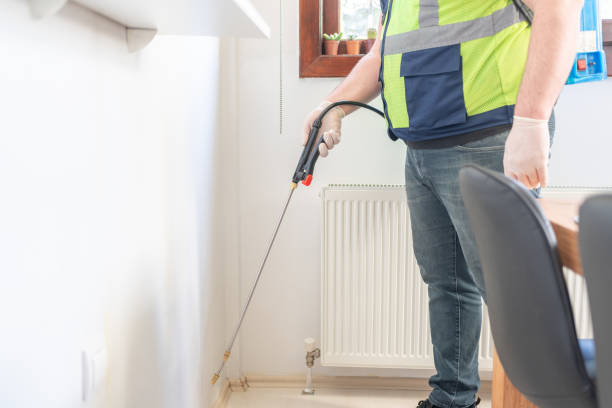 Best Pest Control Near Me  in Salamanca, NY