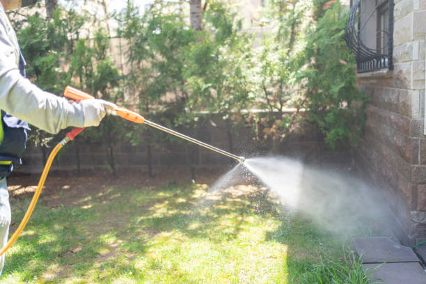 Best Residential Pest Control  in Salamanca, NY