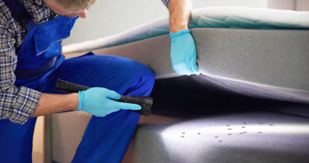 Best Exterminator Services  in Salamanca, NY