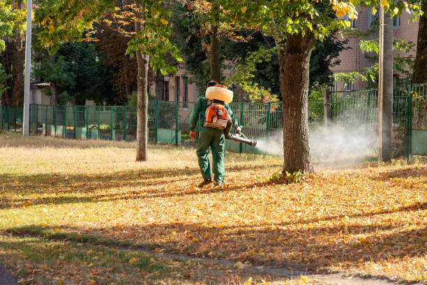 Best Pest Control Near Me in Salamanca, NY