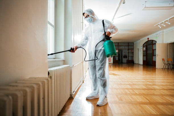 Best Pest Control Treatment  in Salamanca, NY