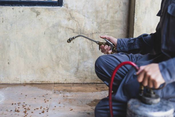 Best Affordable Pest Control Services  in Salamanca, NY